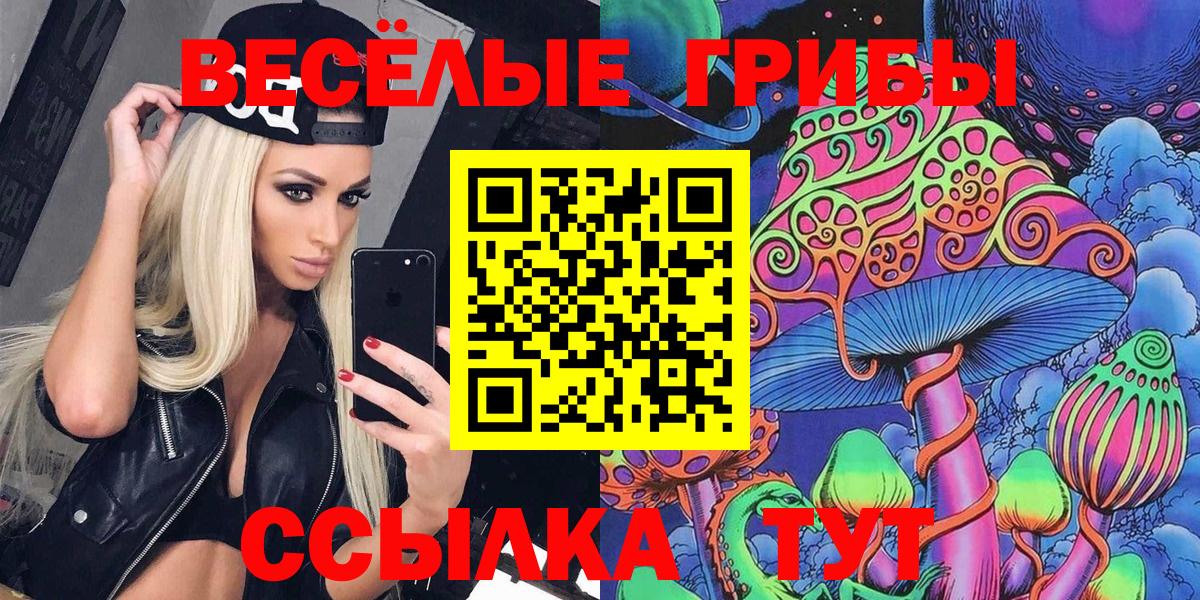 Галлюциногенные грибы Psilocybine cubensis Ханты-Мансийск