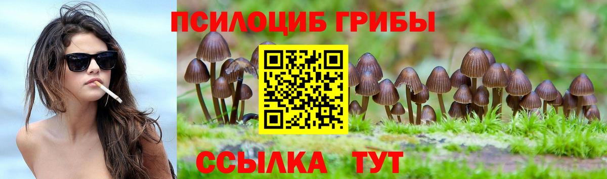 Псилоцибиновые грибы Psilocybe  Галлюциногенные грибы прущие грибы  Ханты-Мансийск  Вход с VPN 